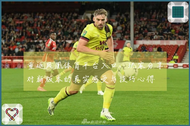 重返凤凰体育平台入口，玩家分享对新版本的真实感受与技巧心得